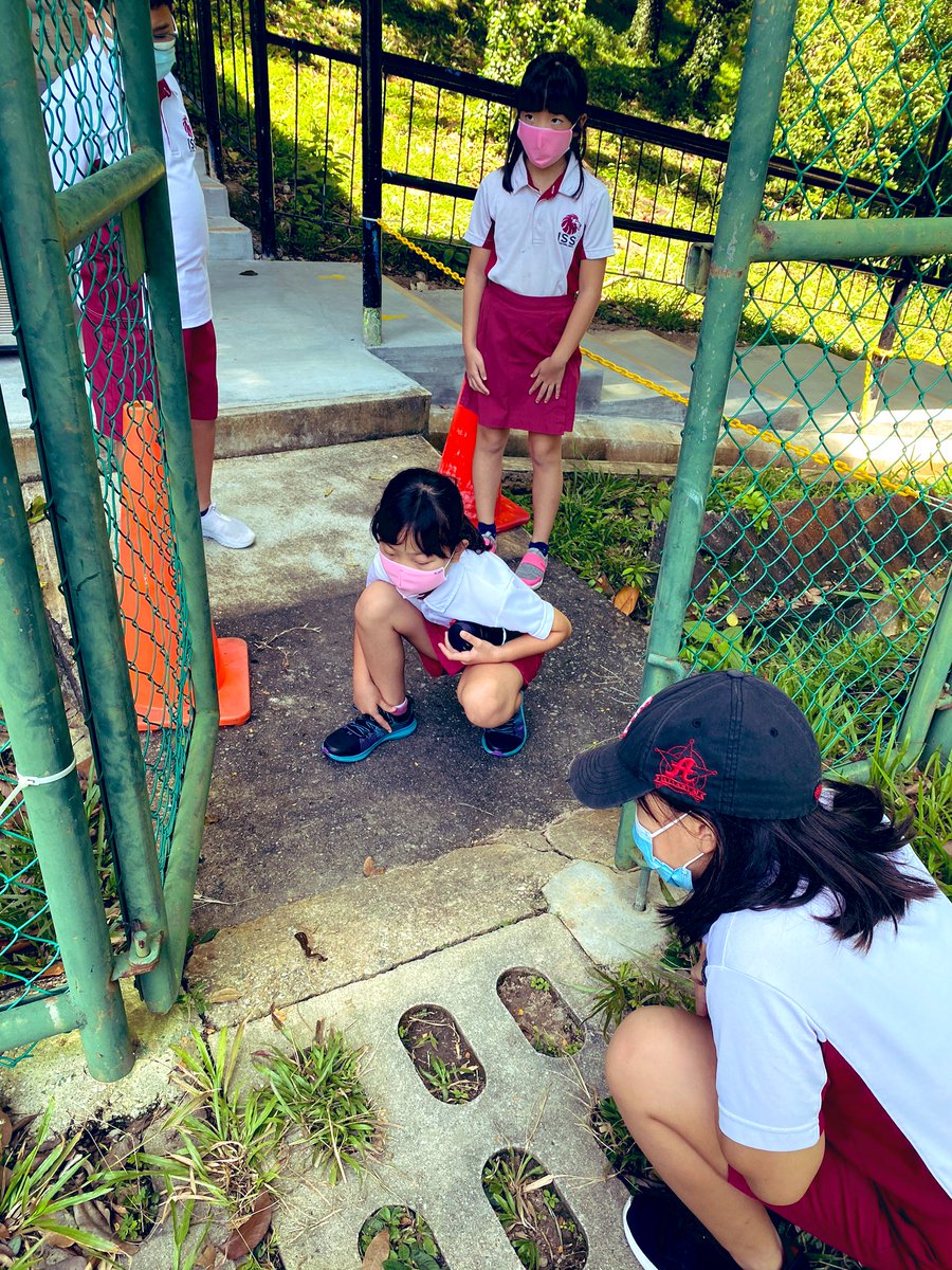 nessaadamberry's tweet photo. Nature greeting us as we go for lunch #isspride #hammerheadworm https://t.co/ji8bZVyL9I