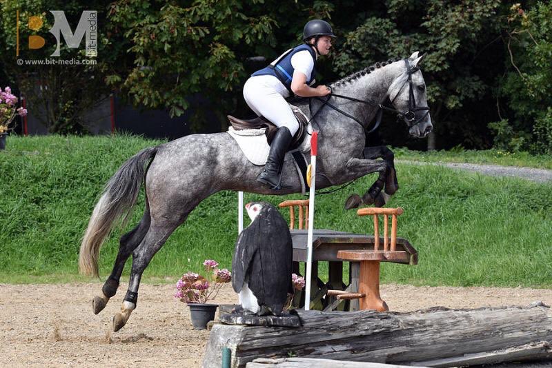 Equine Elite Ireland tweet media
