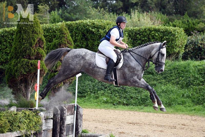 Equine Elite Ireland tweet media