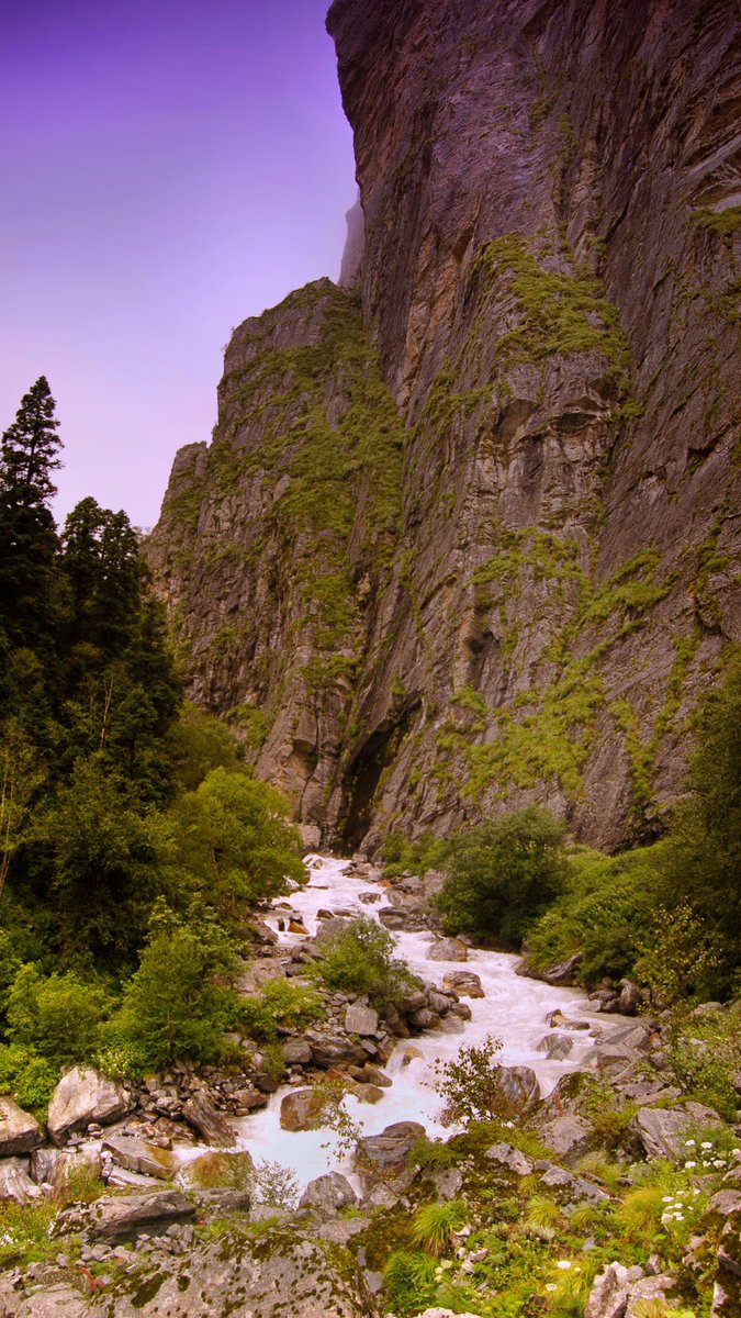 Wallpaper 10: since we are talking about Valley of Flowers, here’s today’s phone wallpaper (L) of Pushpawati river in VoF and the Himalayan Fleabane, a wildflower for the desktop version (R) #WallpaperWednesday  https://twitter.com/aliceonaroll/status/1297898389686763520?s=21