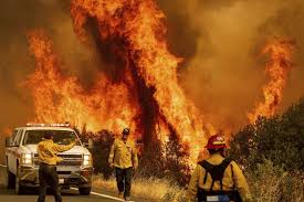 tw // fire , death , burns , gore , blood ?a thread on what's happening in california - because you should educate yourself and i haven't seen a single one.