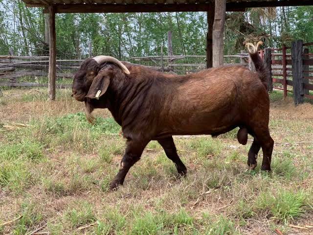 Save ๑๑๒ Phrathan Deevun Bin Abdullah tweet media