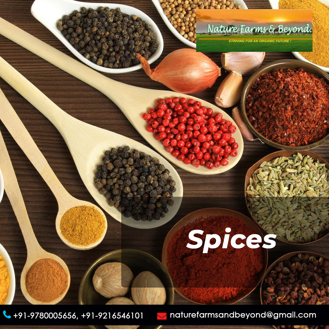 Discover the original taste of natural, pure, finest Spices by Nature Farms and Beyond!
Home delivery services available in Chandigarh, Mohali, Panchkula, Zirakpur.. please WhatsApp your order @ 9216546101
naturefarmsbeyond.com/spices/

#naturefarmsandbeyond #naturalspices