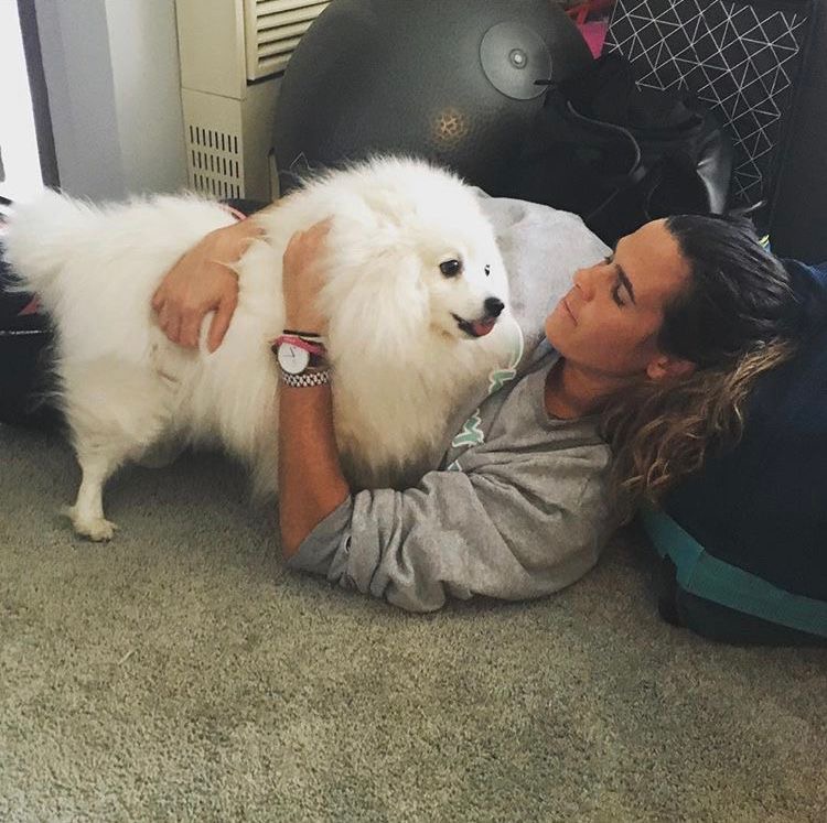 And here we have  @LydsAussie with the adorable Ralph!  #InternationalDogDay