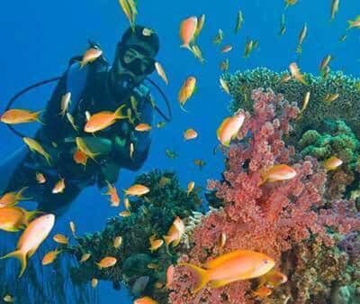 Sea fighters 🚣 🐠🐠😀😄🏊🏼🏄🏾‍♀️

#divers #seadiving #RedSea #beachlife #divingjordan #relaxation #wateractivities #snorkeling