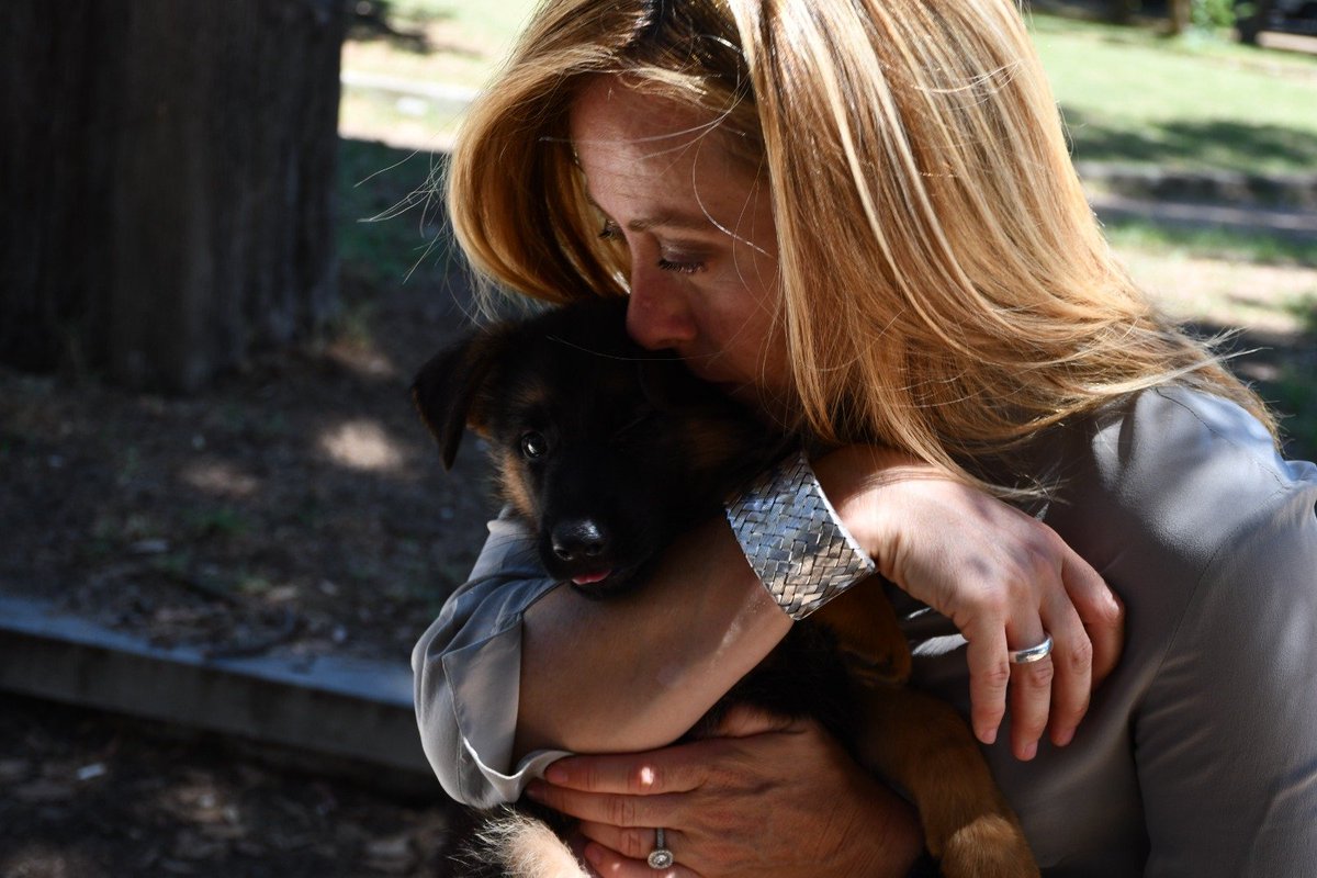 Giorgia Meloni tweet media