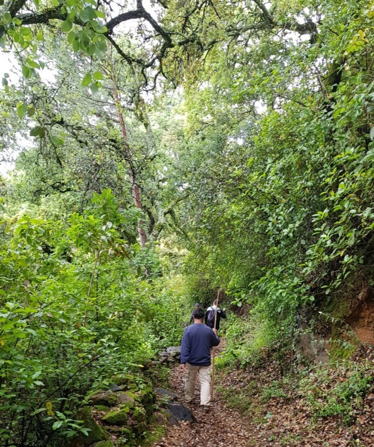 TurismoGalaroza's tweet photo. El #turismo de #Galaroza se refuerza con la promoción que hará de sus senderos la Asociación Cultural #Lieva y sus senderistas, además de otras colaboraciones como la #AsociacióndeEmpresariosdeGalaroza, incluida en la Unión de Autónomos @UATAEAndalucia
https://t.co/U12fIH64z9 https://t.co/JZf86Srrwe