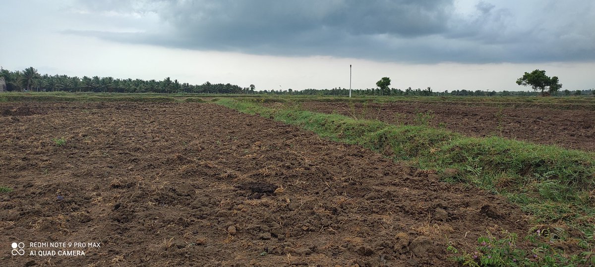 prasanth_msp's tweet image. 