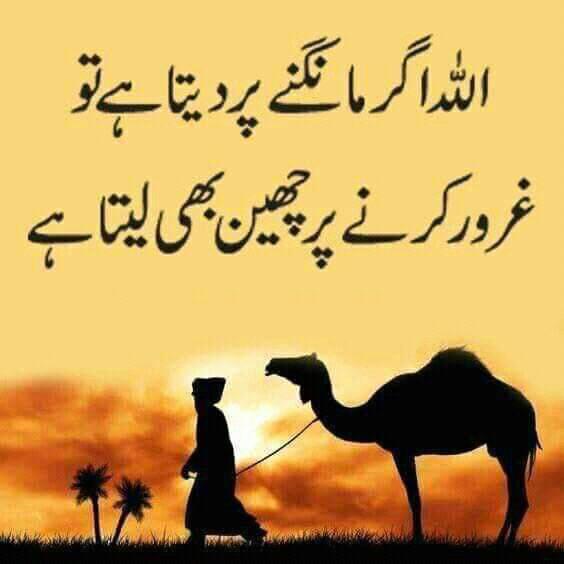 Munir Ahmad Chaudhry™ tweet media