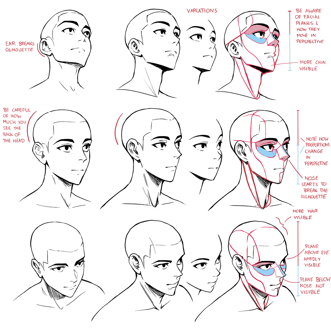 XPPEN USA on Twitter "When drawing the head from different angles it