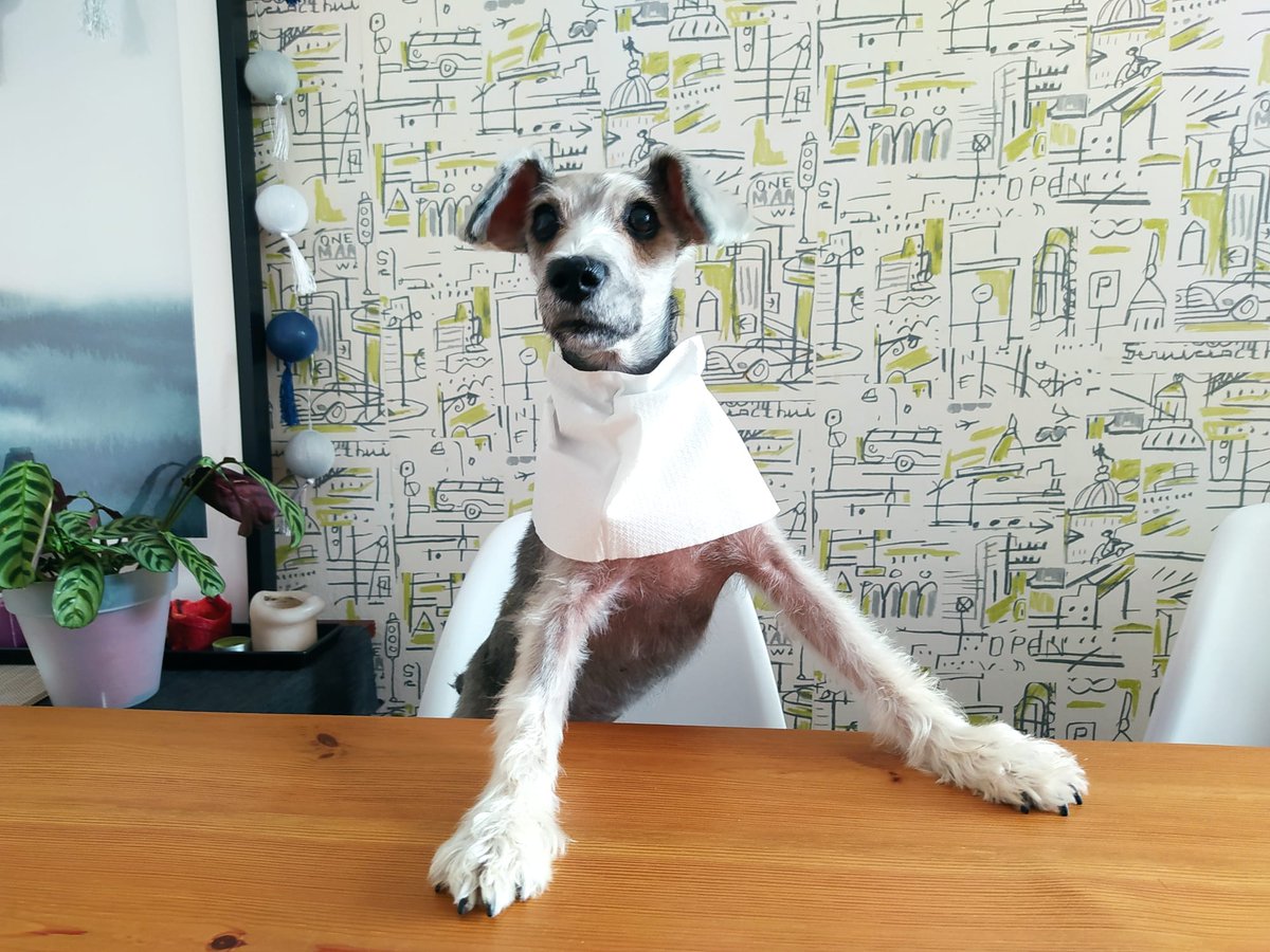 Update Aug 26 gf.me/u/yuarvj
Please RT, Translate, Por favor RT, Traducir!