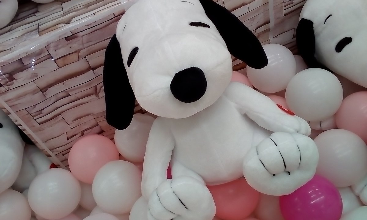 O Xrhsths ゲームパニック京都 Sto Twitter 景品入荷情報 Snoopy プレミアムぴょこゆれギミックぬいぐるみ 全１種 スヌーピー プライズ 河原町 クレーンゲーム Ufoキャッチャー ゲーパニ