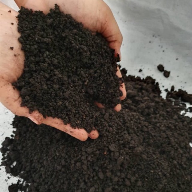 Tanah Hitam Organik Ready To Use 8l 3 7kg Shopee Malaysia