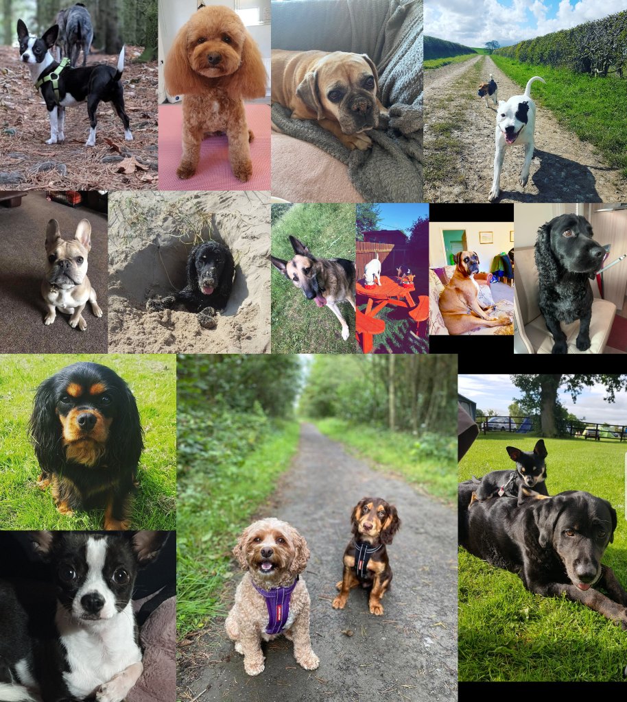 metrorod-ne tweet media