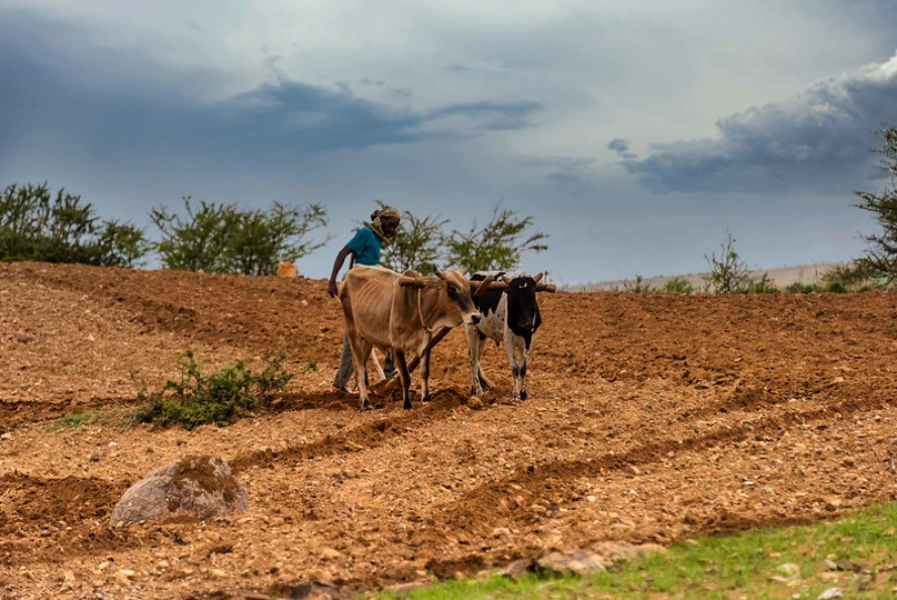 Communities are having very little time to recover between extreme climatic events. Climate change presents a new challenge to already vulnerable communities and threatens to undo the developmental gains made in the region.