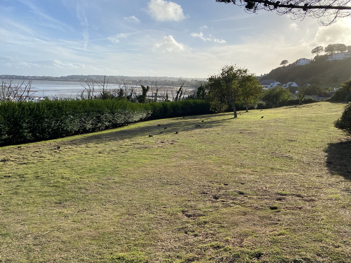 Ran for the first time in a while, injury free.  Also Garmin free, no pace checker, no mid run performance report.  Just my body telling me to enjoy it.  And I did.  #ukrunchat #runchat #nopressure #nogarmin #nostrava <a href="/OnRunningMx/">On Running Mx</a>