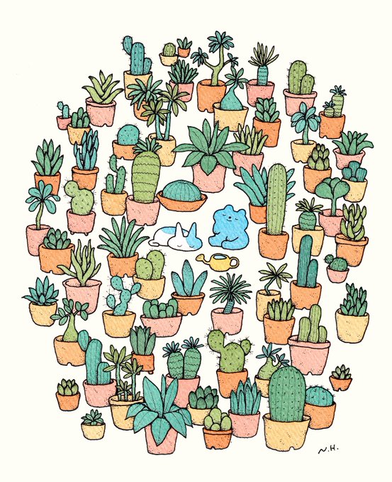 My little garden. 