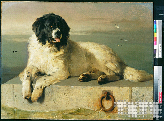HE_Maritime's tweet photo. For #InternationalDogDay why not read our #WreckoftheWeek blog on dogs as both rescuers and rescued in shipwrecks around the English coast? 
https://t.co/YfTpWeVv0i  [Photo © Tate] https://t.co/DWDjYbeNnr