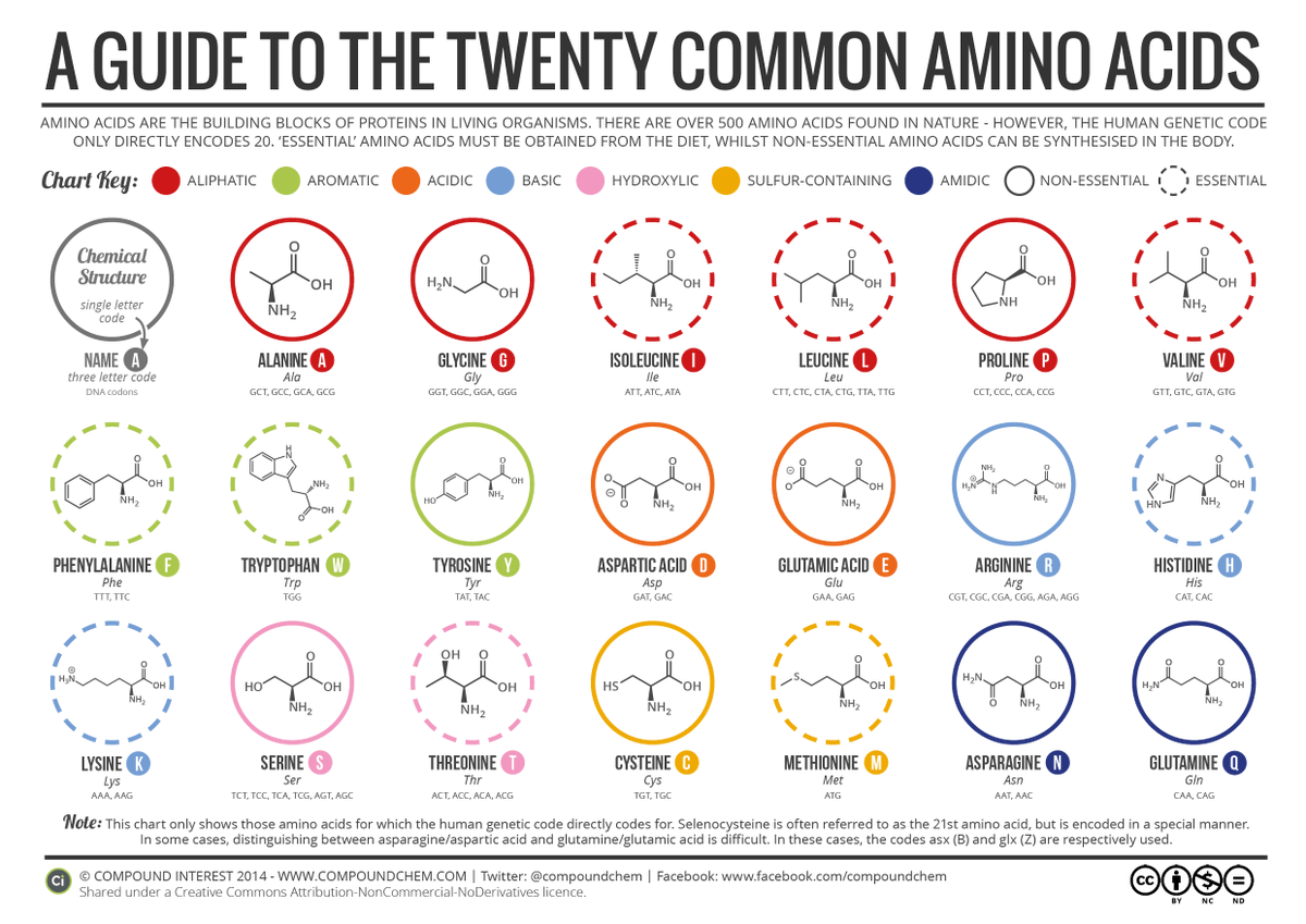 plantsoils's tweet photo. The most common amino acids!

#science #plantscience #plantnutrition #research #agronomy #knowledge #food #news #PlantAgro https://t.co/77PTOpVON8
