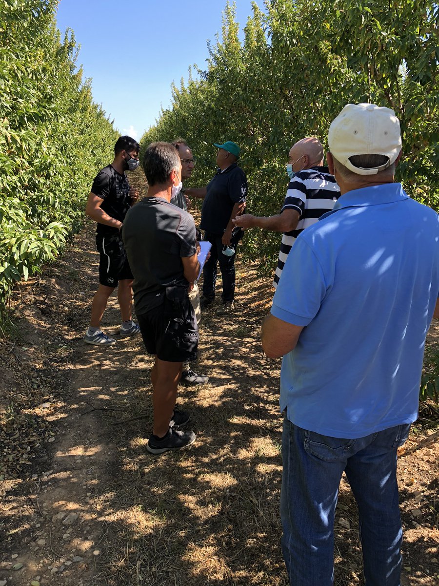 serviplant's tweet photo. Jornada compartiendo experiencias y conocimientos en nuestros campos de demostracion con tecnicos franceses! Gracias a Henri Duval del @INRAE_France por aportarnos mas sobre Lauranne y Mandaline https://t.co/o7m5Gowky3