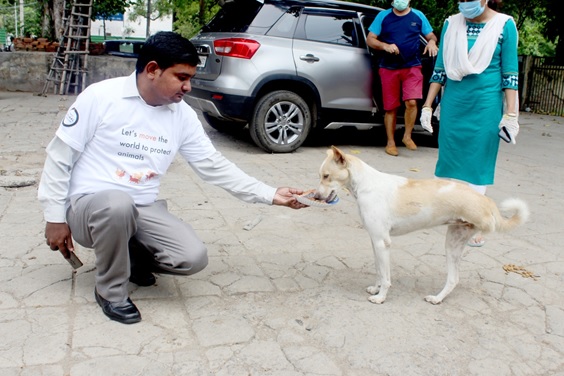 NewsVoir's tweet photo. This International #DogDay Make your Locality Animal Friendly @MoveTheWorldIN #DontForgetThem, #Betterlivesfordogs #ANIMALLOVE
Read @NewsVoir Story | https://t.co/rZhgEb2TOj https://t.co/SxognhyrGs