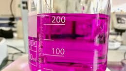 heejin — bright pinkover-titration using phenolphthalein indicator