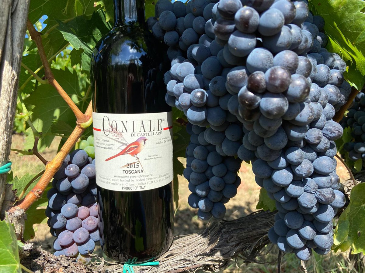Su <a href="/WineNewsIt/">WineNews</a>, la classifica “World’s Best Value Italian Wines” di <a href="/WineSearcher/">Wine Searcher</a> che seleziona le dieci migliori etichette italiane per rapporto qualità/prezzo. Tra i vini scelti, anche il Coniale 2015 di Castellare!

News ->bit.ly/2FZIISn