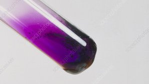 choerry — purpleiodine crystals/vapor