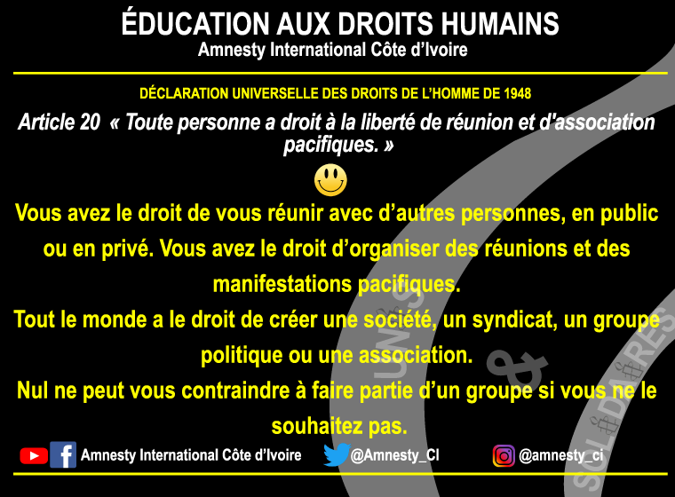 « Toute personne a droit à la liberté de réunion et d'association pacifiques. » Art. 20 de la DUDH
Vous avez le droit de vous réunir avec d’autres personnes, en public ou en privé. Vous avez le droit d’organiser des réunions et des manifestations pacifiques.