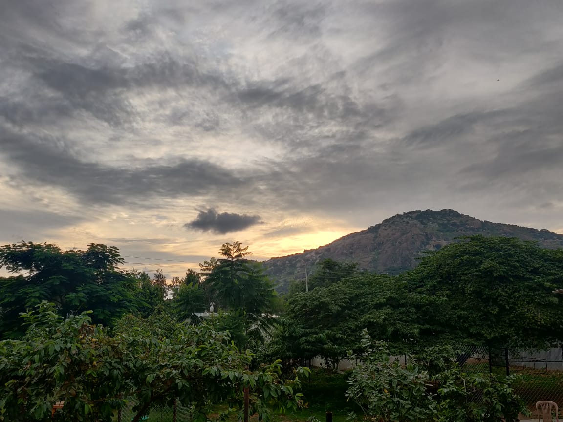 VOSD1's tweet photo. LIFE AT VOSD

Our dogs and caregivers have luxury sunset views for days. (We don't think the dogs are too bothered about this 😁)

DID YOU KNOW?
VOSD is taking in 100 dogs that you nominate!
Read more: https://t.co/WMhV3fDWLE 

#dogs #VOSDdogs #dogsofVOSD #views https://t.co/ssp0PPQYZG