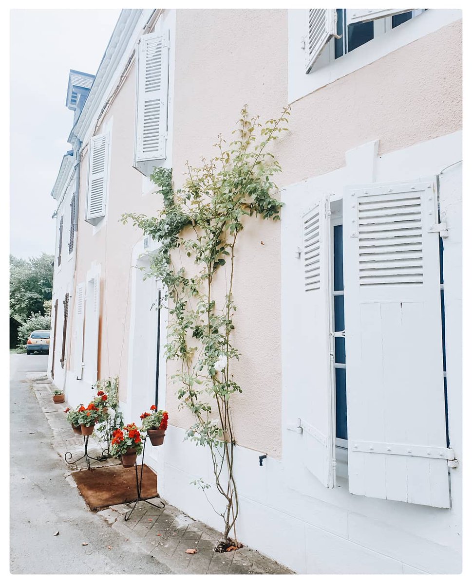 Thestylepad_uk's tweet photo. We had the most amazing holiday in France for Mum's 60th. But now we are crashing back to reality with 14 days of quarantine...! Guess we better get cracking with the living room renovations...I'll keep you updated in insta stories as always! 💕

#thestylepaduk #thestylepad #home https://t.co/oWxxFrsTVk