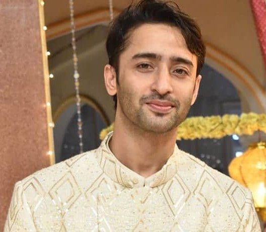 Some people will Always be negative..U will never be happy if U constantly think about them..So don't let them bother U..Coz to defeat Negativity there is only One Way & Dat is to increase Positivity to such an extent..dat D opponent appears small itself..+ #ShaheerSheikh