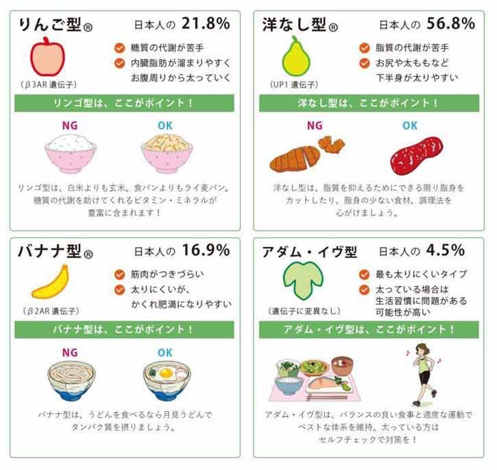 じゅんちゃん 体質に合ったダイエット法が分かる遺伝子検査気になる 内臓脂肪がつきやすいりんご型 下半身に脂肪がつきやすい洋なし型 筋肉がつきにくく 一度太ると痩せにくいバナナ型 遺伝子より生活習慣が重要なアダム イヴ型 じゅんちゃん 体質に合ったダイエット法が分かる遺伝子検査気になる 内臓脂肪がつきやすいりんご型 下半身に脂肪がつきやすい洋なし型 筋肉がつきにくく 一度太ると痩せにくいバナナ型 遺伝子より生活習慣が重要なアダム イヴ型
