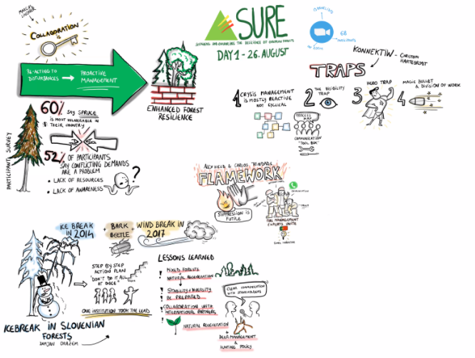 efiresilience's tweet photo. In case you have missed the morning sessions of the #SURE conference, here's an update on the graphic recording by @Giurk, illustrating #ForestRisk and the importance of #networks to exchange knowledge and experiences. We are now having a break and will be back at 1:15 pm. https://t.co/kjLY7knaTI