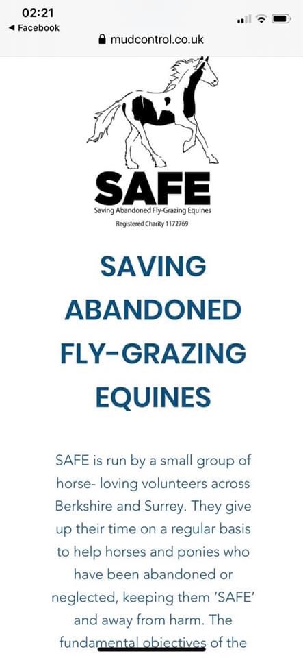 SAFE tweet media