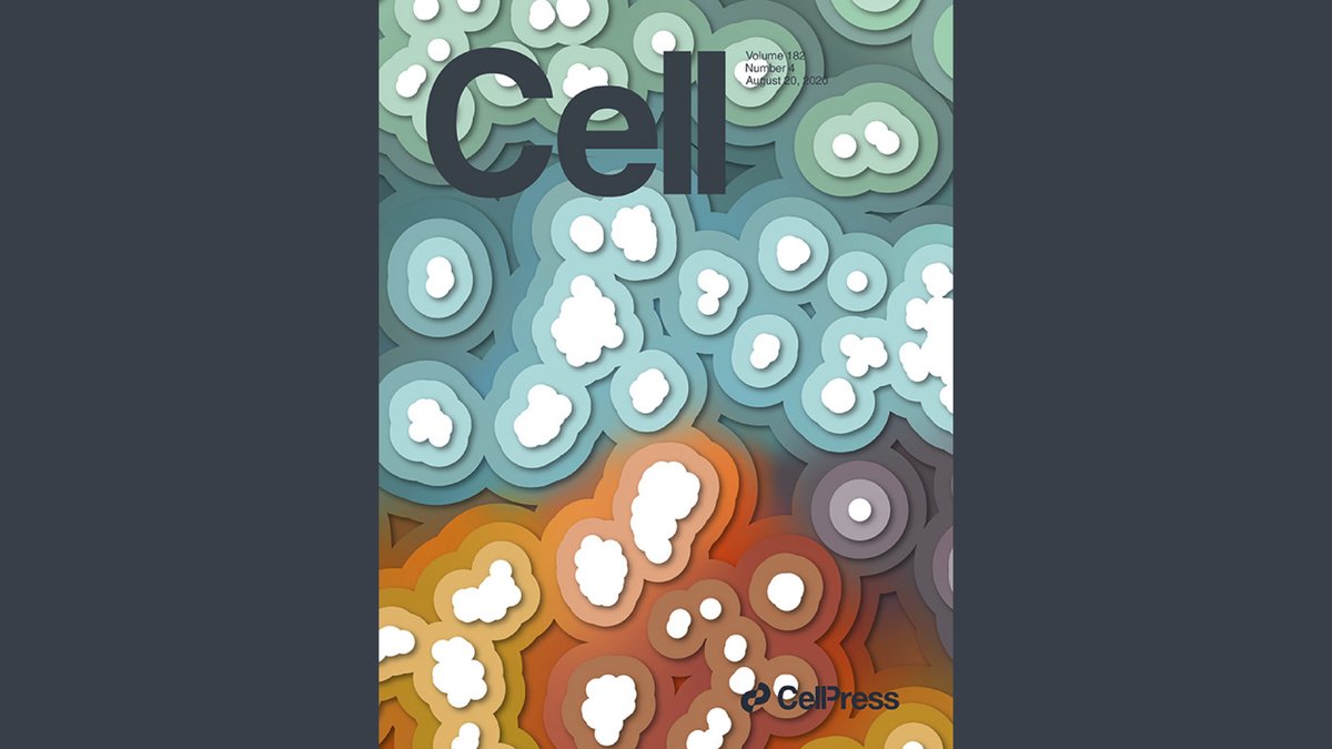 Our ISS data has made it on the cover of <a href="/CellCellPress/">Cell</a> !

It's an artistic interpretation of CARTANA's In Situ Sequencing data in areas around amyloid-β plaques inspired by the work of Chen et al. from the <a href="/BrtDeStrooper/">bart de strooper</a> Lab at <a href="/CBD_VIB/">VIB-KU Leuven Center for Brain & Disease Research</a>.

Read paper: zpr.io/HGjbK