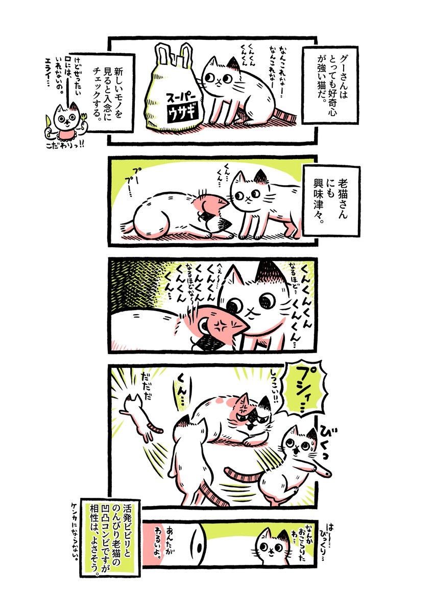 漫画家のカメントツ先生の家に老猫さんが迷い込む 飼い主さんが見つかる 猫さんを引き取ったカメントツ先生 元飼い主さんの庭掃除をする 2ページ目 Togetter
