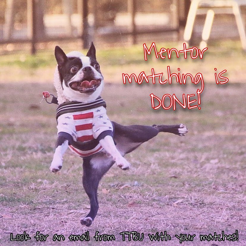 TransitionToBU's tweet image. Matching is DONE! Keep an eye on your inbox as we'll be sending out information about mentors and mentees soon! 🎉🐾