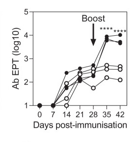 2/Profiling women at Oxford Uni contributing great science to tackle COVID.#2: Teresa Lambe -Senior scientist. Helped design the Oxford ChAdOx1 nCoV-19 vaccine and oversaw pre-clinical assessment showing high Ab titres and neutralisation.  https://pubmed.ncbi.nlm.nih.gov/32793398/   #WomenInSTEM