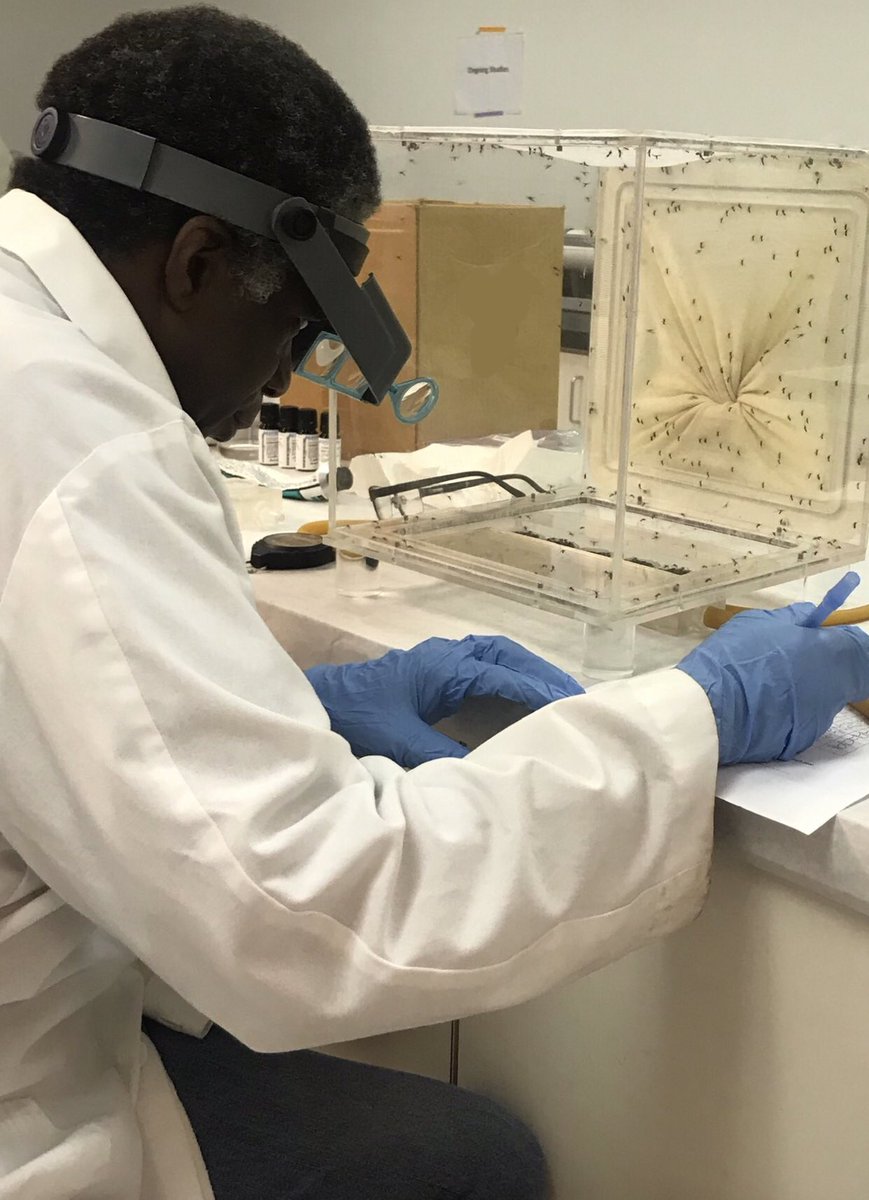 Busy day @i2LResearchUSA 
Study director Timothy Foard is hard at work observing and recording data. #Entomology #EfficacyTesting #Weworkwithbugs #i2LResearch