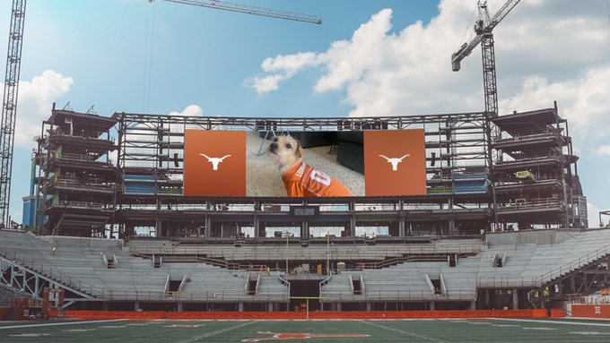 A cute dog in a Texas Longhorns jersey is photoshopped onto the brand new videoboard in the South Endzone construction. The Longhorn silhouette is clear in the seating section.
