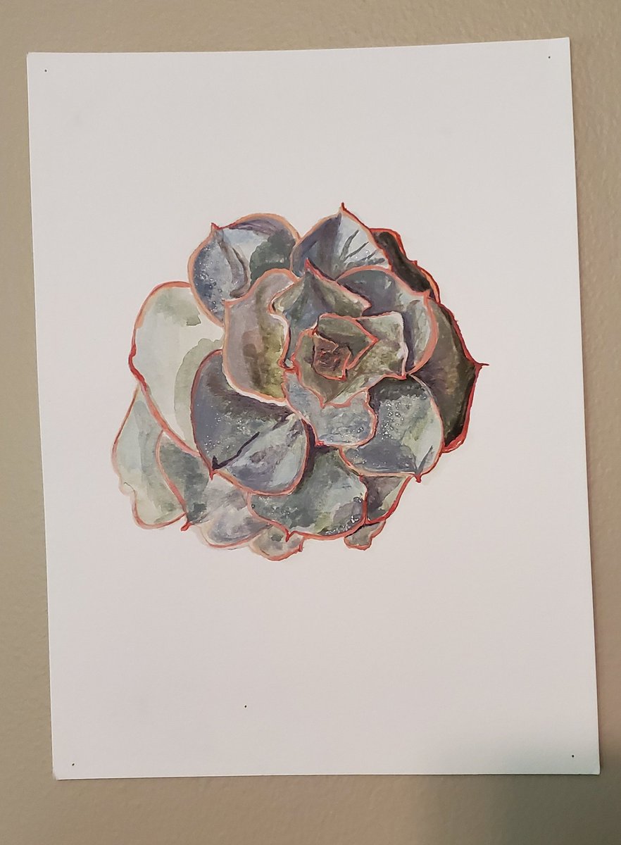 Succulent Prints & Herb Sketch Print now $4.80 +$3 shipping