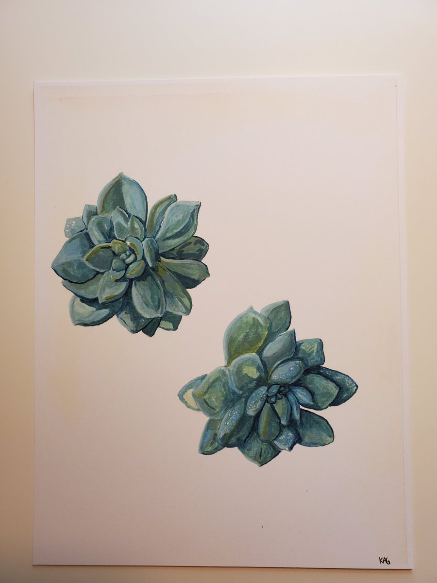 Succulent Prints & Herb Sketch Print now $4.80 +$3 shipping