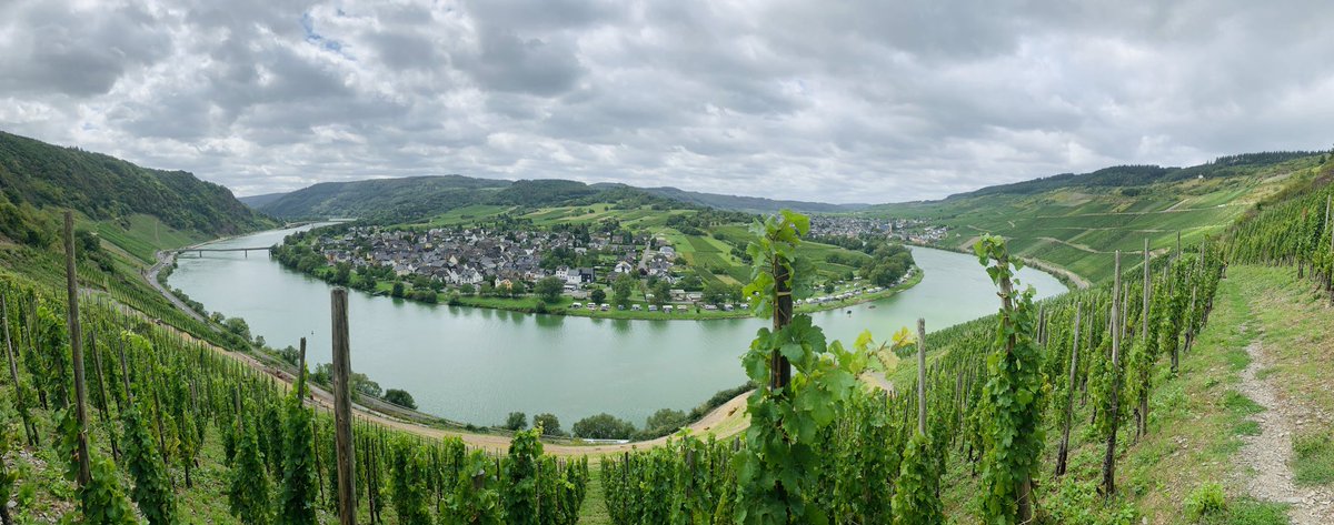 Wandeling door de wijngaarden! 🍇