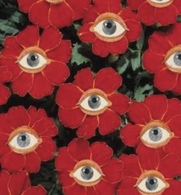 's tweet image. Type ur birth month + red + aesthetic on Google. Retweet w/ the pics &amp;amp; tag 5 Red team moots. Try not to tag ppl who were tagged already. Keep it going!

@Ioverofmine_mgc @2maroNvrDies @Music_BooksXx @morelukex @littlest5sosfan #5SOSRedTeam #CALMPromoComp #redsos #REDSOSHASTEETH