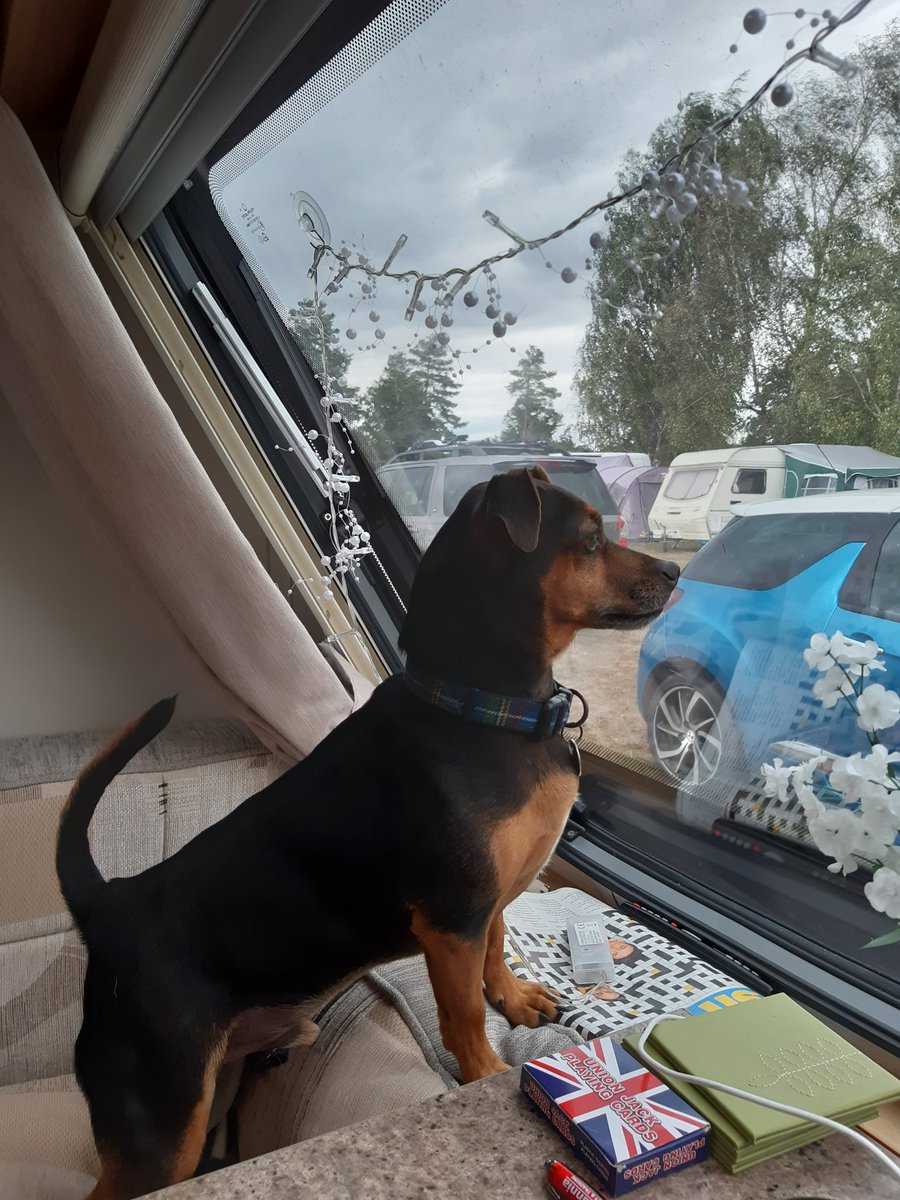 Happy babies on their holibobs!!!!!