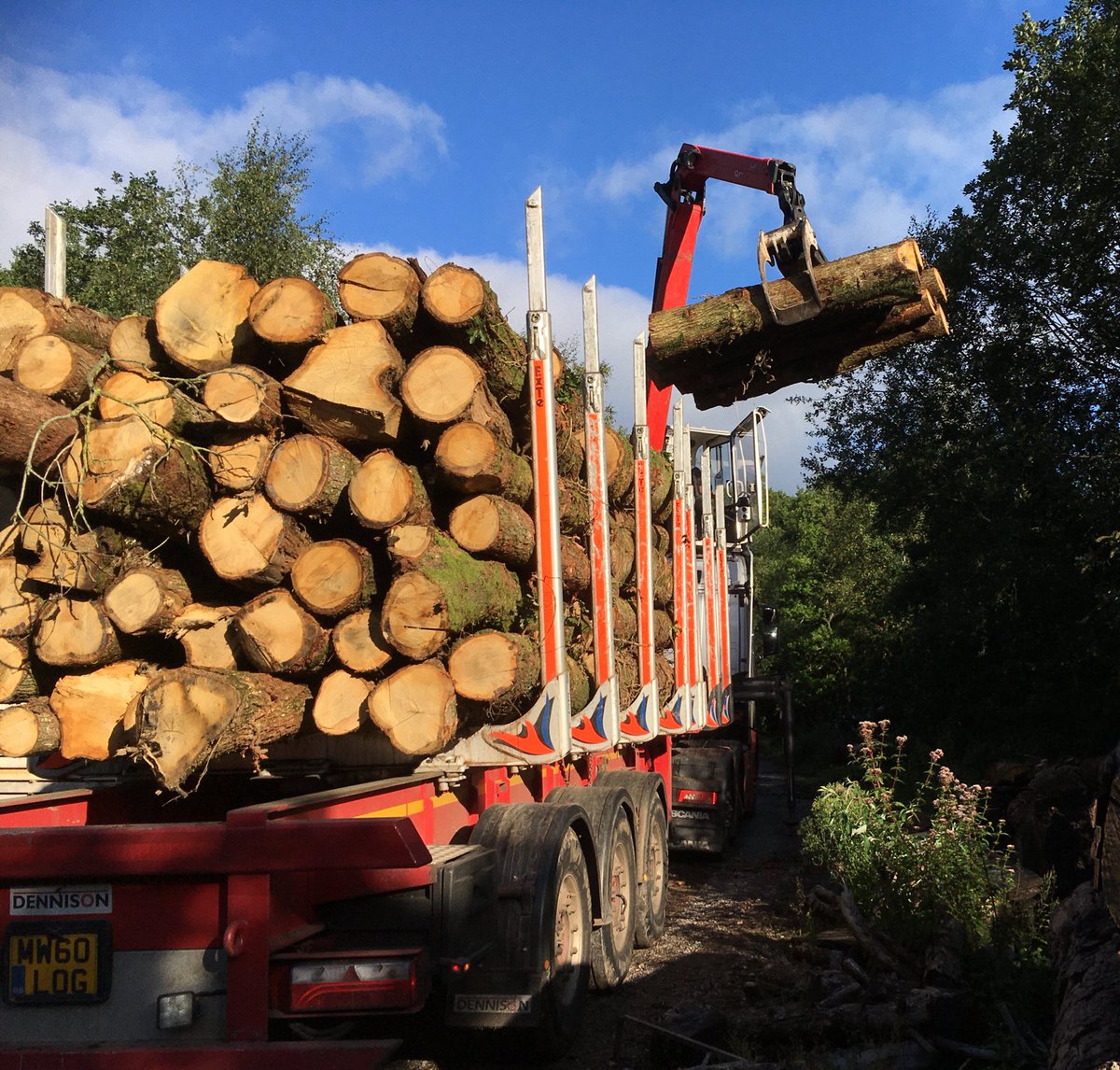 WenTimberCentre's tweet image. A lovely mid week delivery of some much needed Oak logs today. Not the biggest stems as they are just from woodland thinning but still full of lovely timber 🌳💚 #sustainabletimber #sustainablelogging #localtimber #hardwoods #oak #smallbutbeautiful #southwales #sawmillbusiness