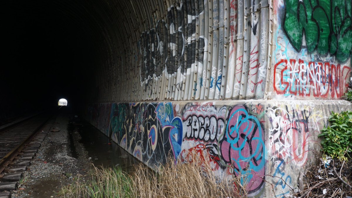 selunaphoto's tweet photo. Tunnels with graffiti are somewhat my favorite places to photograph. I love all the color that you can find. 

#naturephotography #livephotography #richmond #photography #photo #seluna #perez #selunaphotography #selunaphoto #sonya6000 https://t.co/l0J1JrL3eL