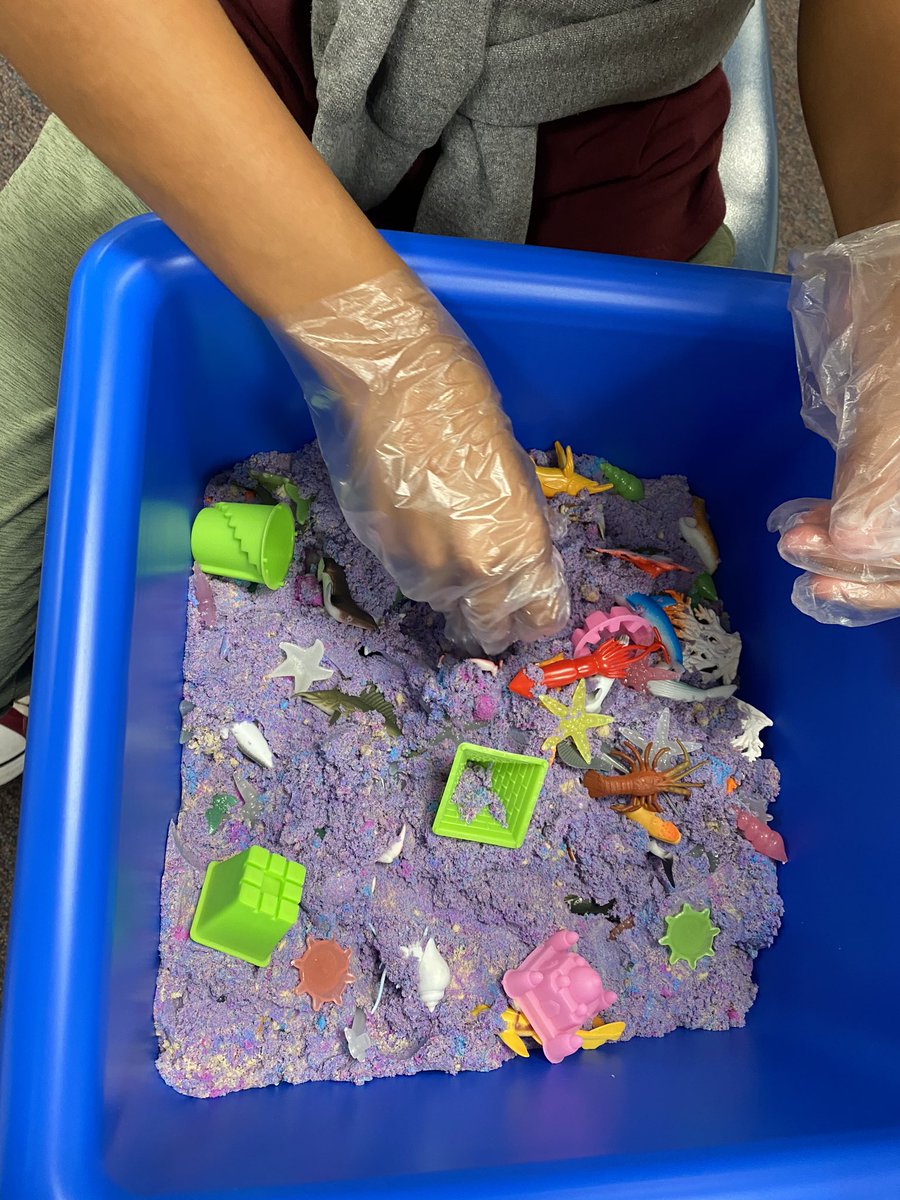 afowler_ajhs's tweet photo. loving our new additions to the sensory room thanks to our grant from the PTO! #AJHSonDean 

The sensory table and pea pod are already greatly loved!!! https://t.co/XyhdoQKA8e