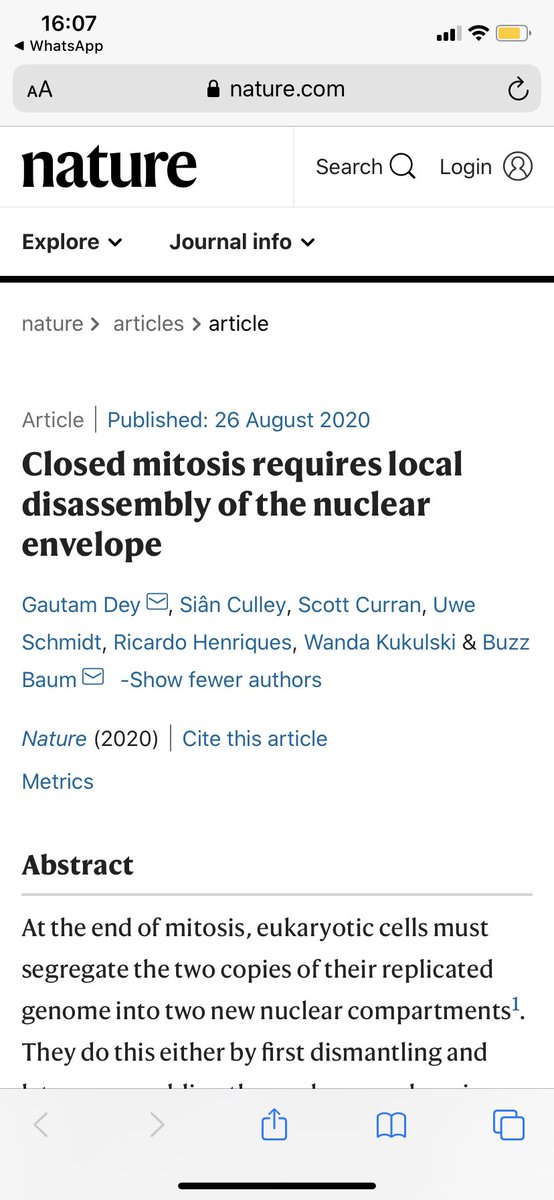Now live @nature - on a new mechanism of nuclear remodelling in closed mitosis! If you missed the <a href="/biorxivpreprint/">bioRxiv</a> or want to know what changed, thread to follow - once my co-authors &amp; I finish our socially distanced pint 🍺 nature.com/articles/s4158…